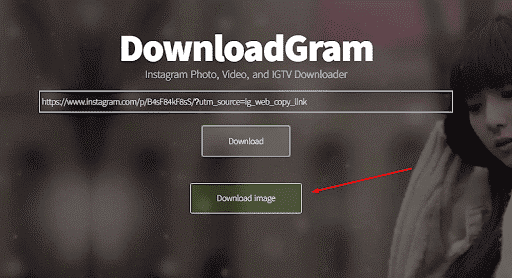 אתר downloadgram.pro